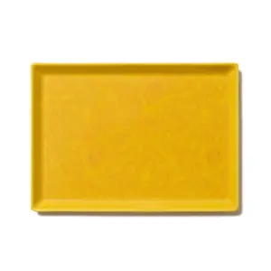 EVISEN / SQUARE PLATE – Mustard